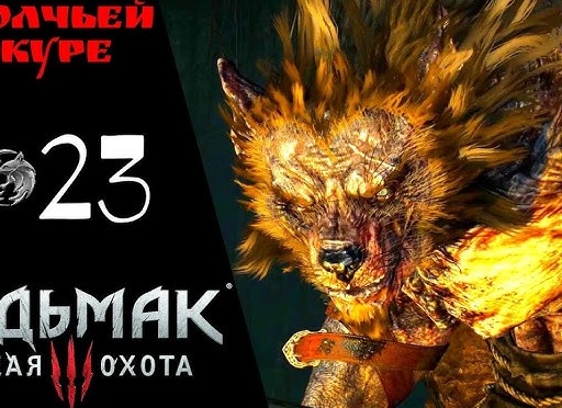 ◈ Прохождение Ведьмак 3 Дикая охота ㉓ В волчьей шкуре, улучшения школы кота, Белая дама, Лихо лесное